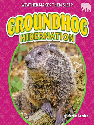cover image of Groundhog Hibernation